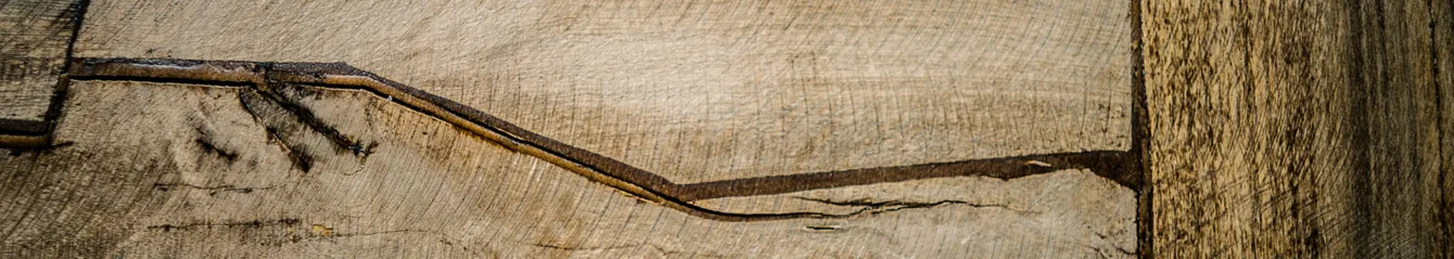 Element Wood Element Wood